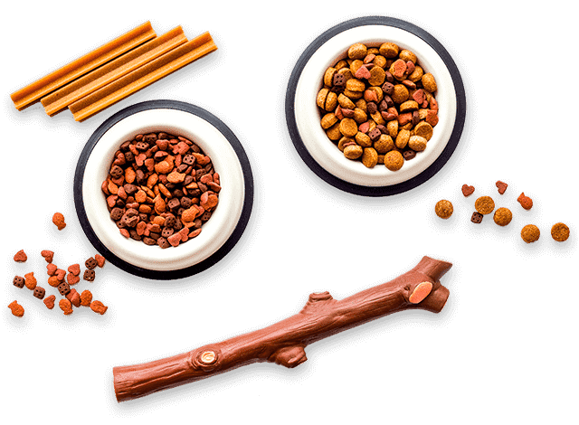 Productos para mascotas: comida y hueso